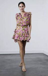 Karina Grimaldi Elliot Print Mini Dress